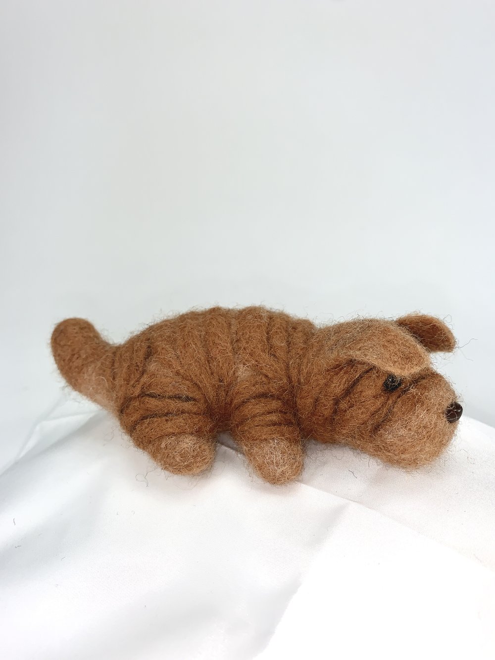 Rumple- Shar-Pei