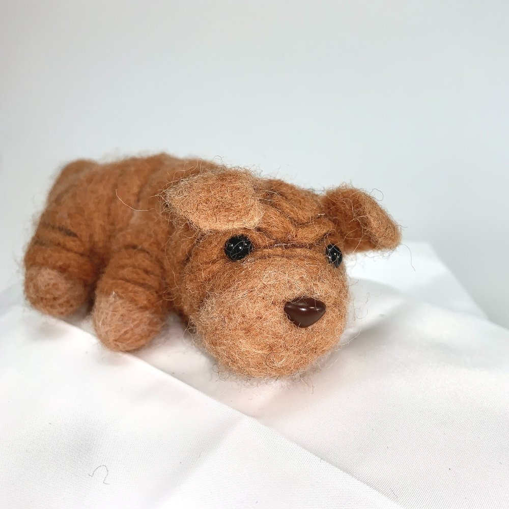 Rumple- Shar-Pei