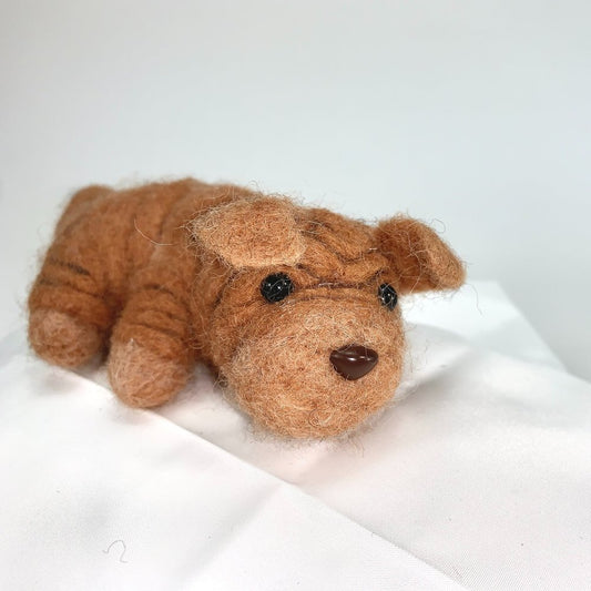 Rumple- Shar-Pei