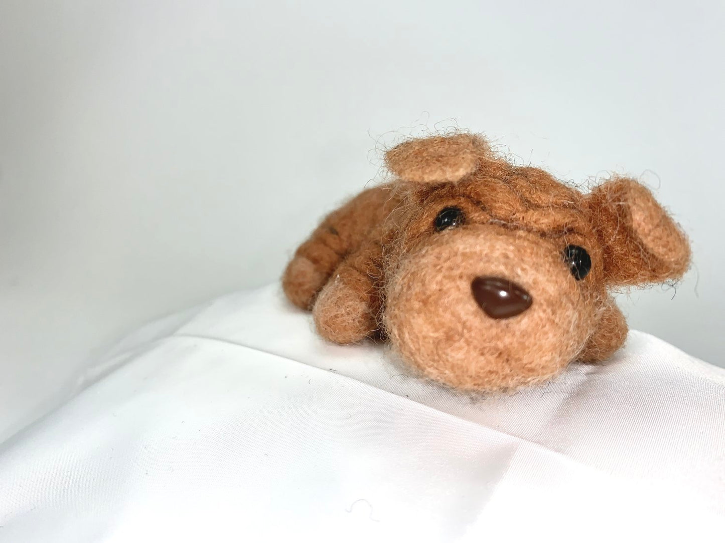 Rumple- Shar-Pei