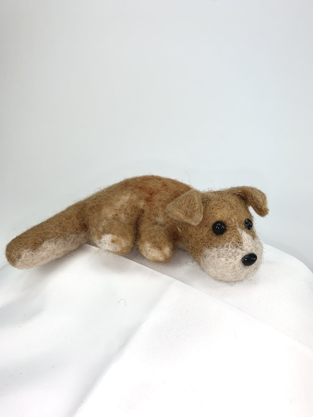 Bruno- Mutt
