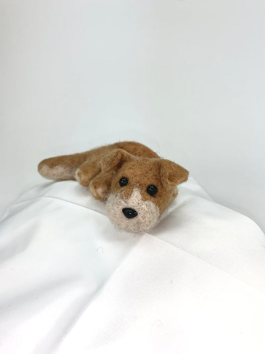 Bruno- Mutt