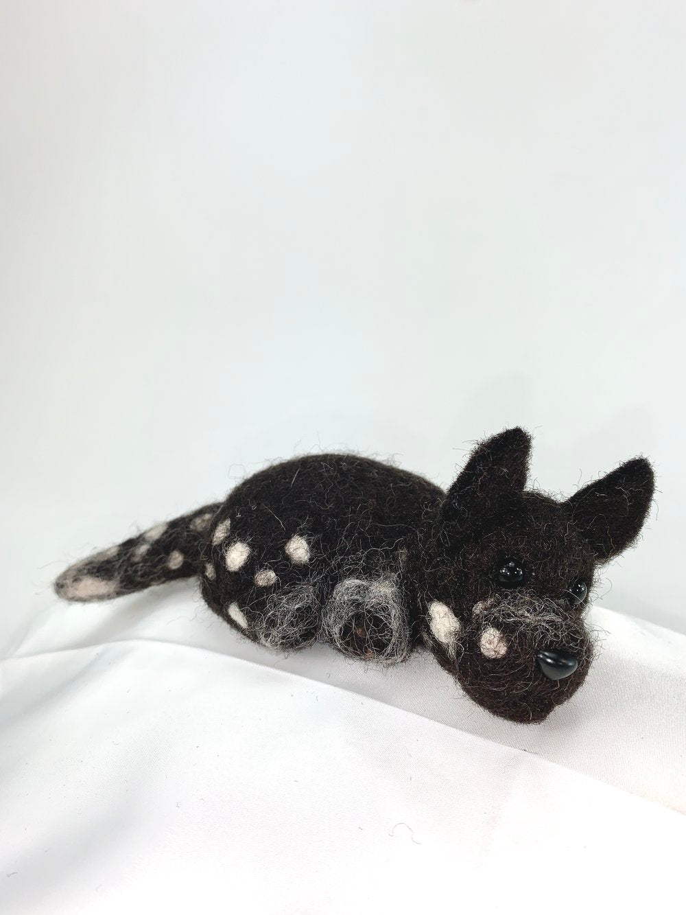 Coco- Xoloitzcuintli