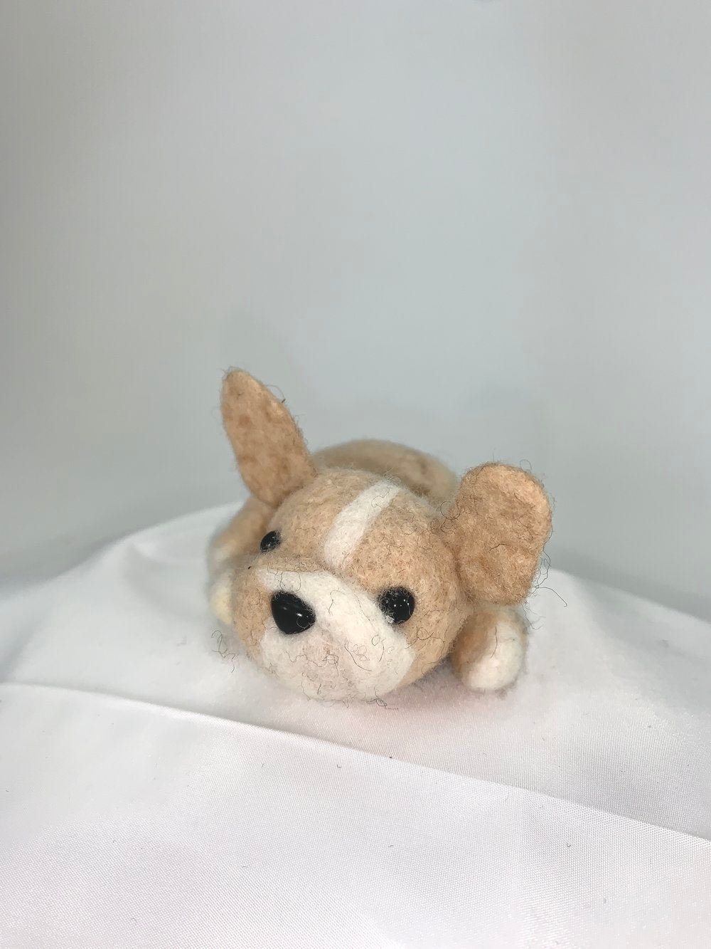 Nimbus- French Bulldog