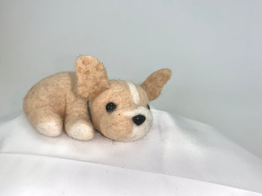 Nimbus- French Bulldog
