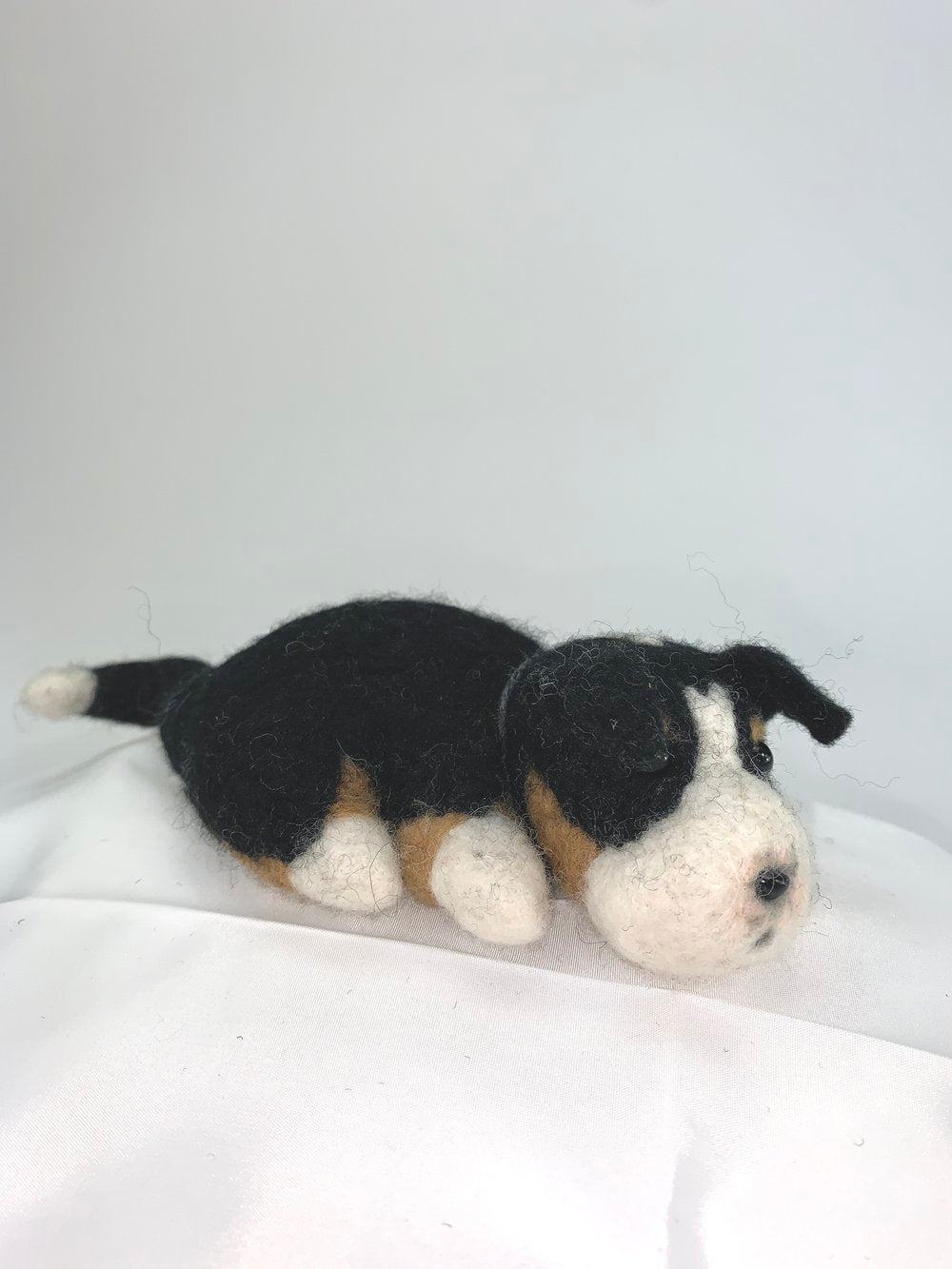 Cliff- Bernese Mountain Dog