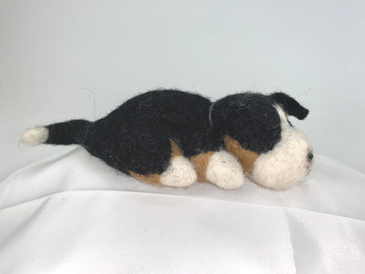 Cliff- Bernese Mountain Dog