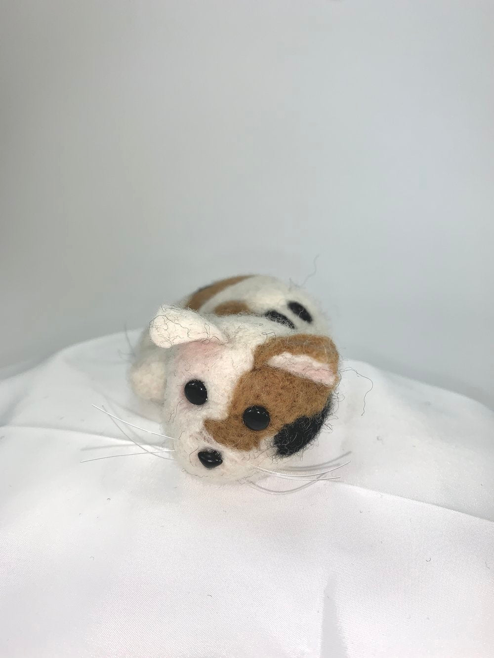 Tulip- Calico Cat