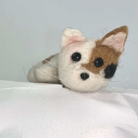 Tulip- Calico Cat