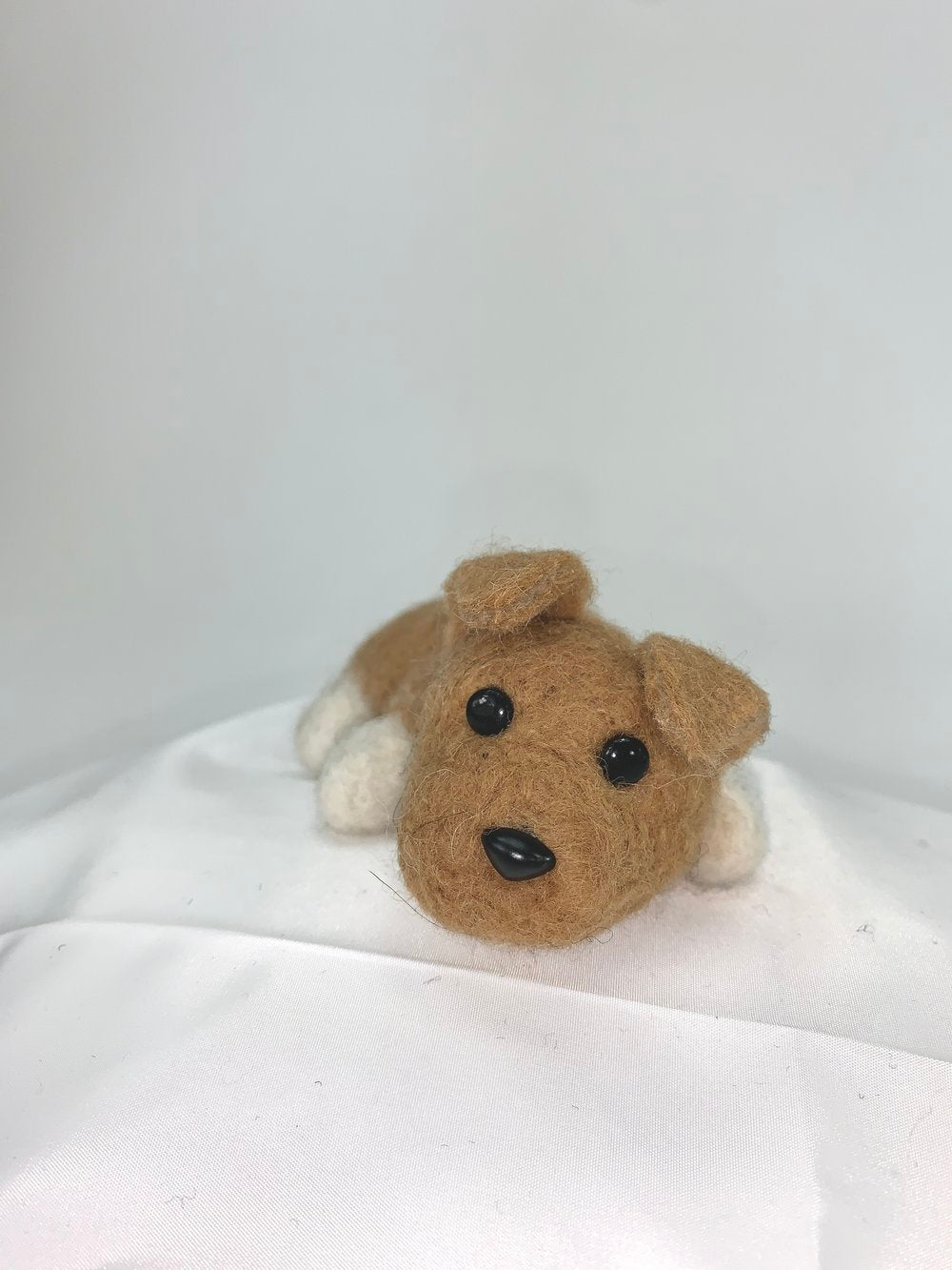 Jude- Mutt