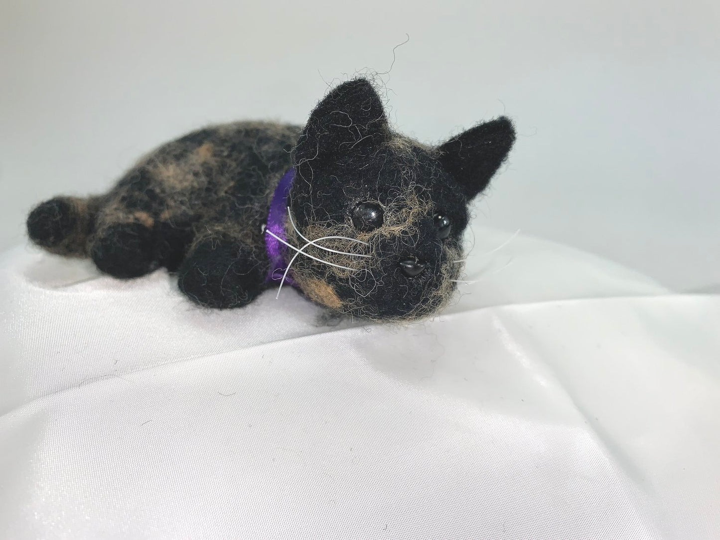 Penelope- Tortoise Shell Cat