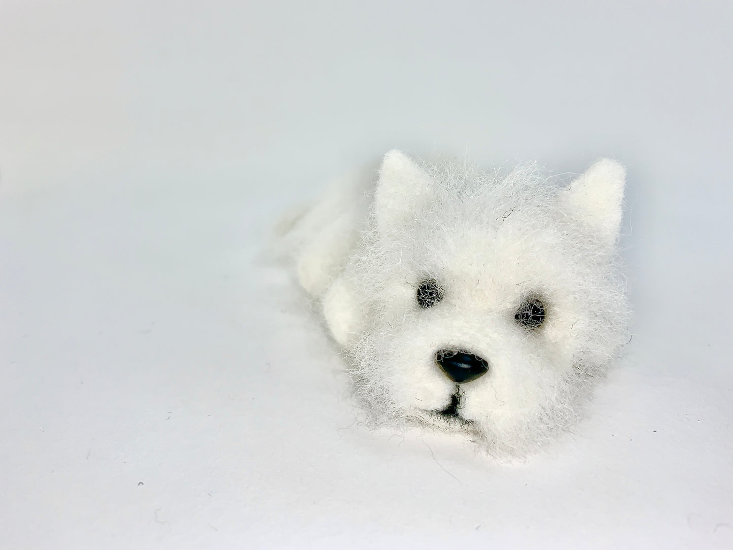 Weston -Westie