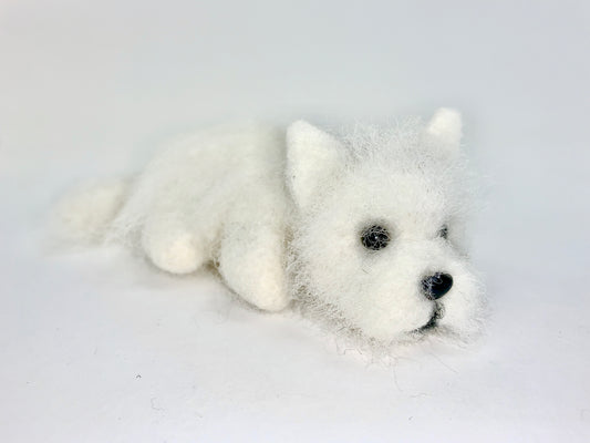 Weston -Westie